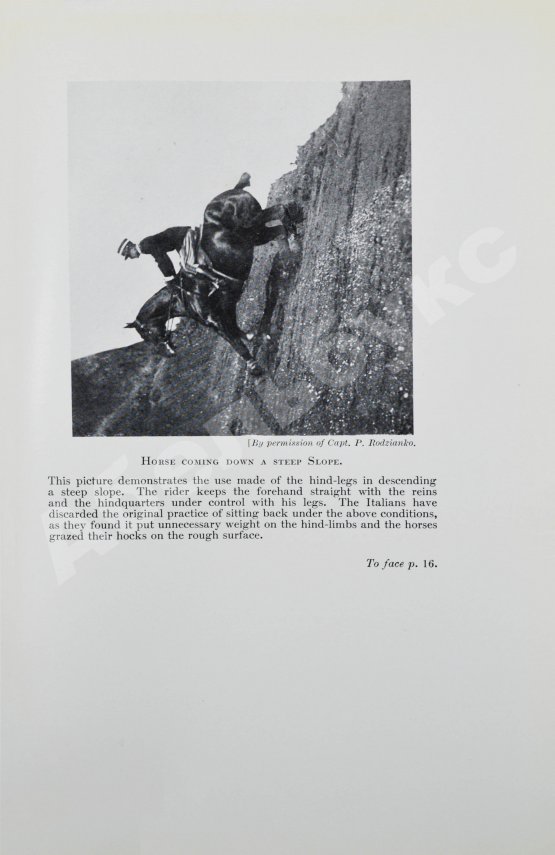 Антикварная книга Брук, Дж. Чувство лошади и искусство выездки лошадей