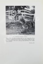 Брук, Дж. Чувство лошади и искусство выездки лошадей