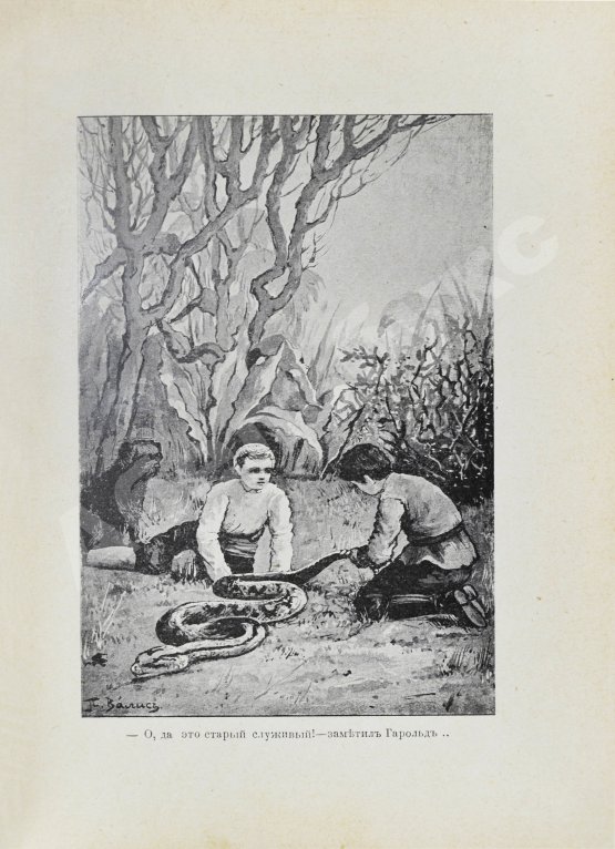 Антикварная книга Гольдинг, Ф.Р. Остров убежища