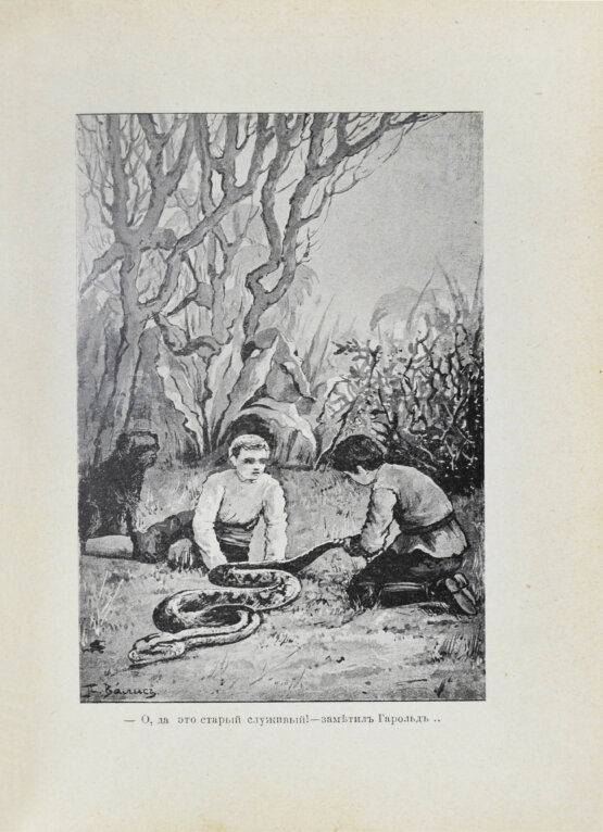 Антикварная книга Гольдинг, Ф.Р. Остров убежища