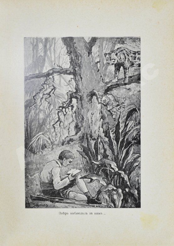 Антикварная книга Гольдинг, Ф.Р. Остров убежища