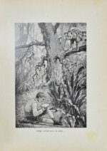 Гольдинг, Ф.Р. Остров убежища