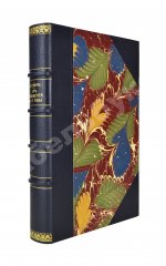 Гейер, И.И. [автограф] От Ташкента до Гавы