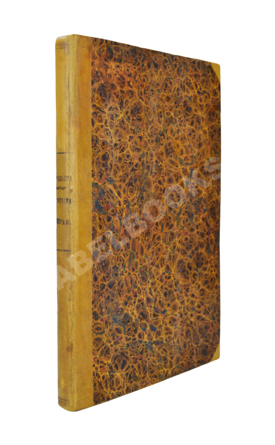 Антикварная книга Арсеньев, К.И. Царствование Петра II. Cочинение Константина Арсеньева Антикварная книга Арсеньев, К.И. Царствование Петра II. Cочинение Константина Арсеньева