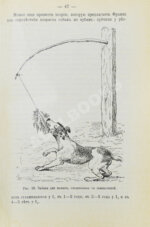 Капитанов, В.И. Сторожевые, охотничьи и комнатные собаки