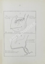 Павлов, И.П. Лекции о работе главных пищеварительных желёз. Первое издание
