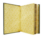 Полонский, Я.П. Полное собрание стихотворений Я.П. Полонского