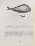 Родных, А.А. Тайная подготовка к уничтожению армии Наполеона в двенадцатом году при помощи воздухоплавания