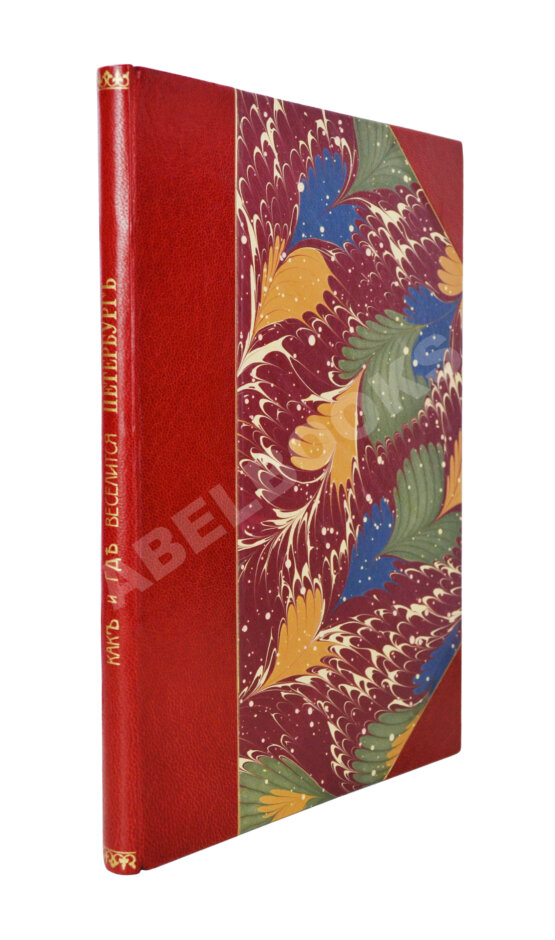 Антикварная книга Салон. Как и где веселится Петербург Антикварная книга Салон. Как и где веселится Петербург