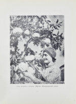 XX лет Советской Грузии