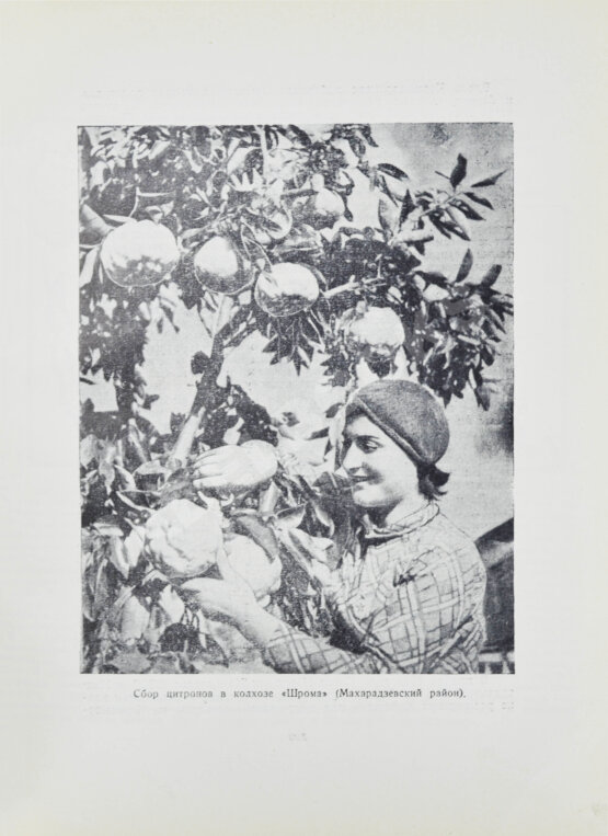 Антикварная книга XX лет Советской Грузии