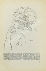 Бехтерев, В.М. [автограф] Работа головного мозга. (С рефлексологической точки зрения)