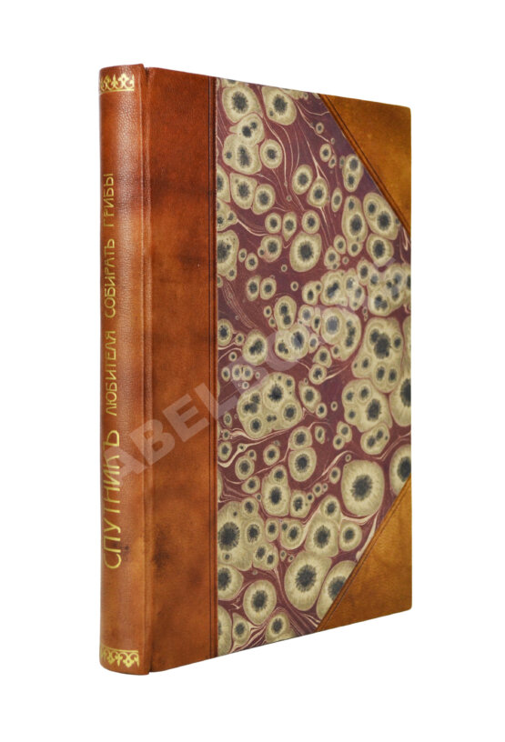 Антикварная книга Голенкин, М.И. Спутник любителя собирать грибы Антикварная книга Голенкин, М.И. Спутник любителя собирать грибы