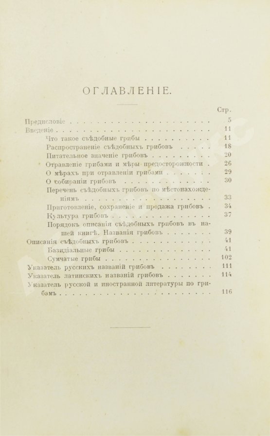 Антикварная книга Голенкин, М.И. Спутник любителя собирать грибы