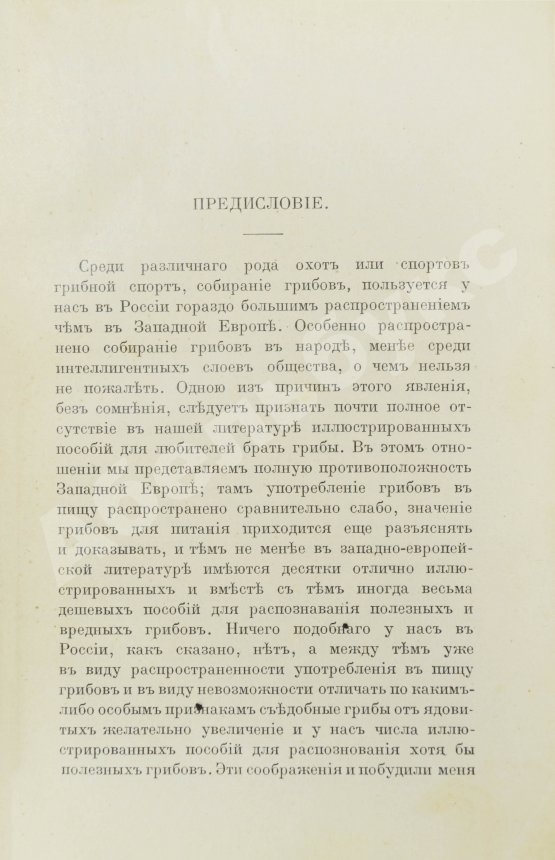 Антикварная книга Голенкин, М.И. Спутник любителя собирать грибы