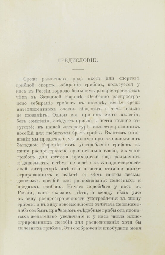 Антикварная книга Голенкин, М.И. Спутник любителя собирать грибы