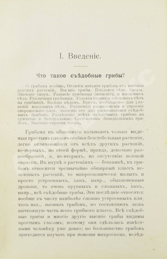 Антикварная книга Голенкин, М.И. Спутник любителя собирать грибы