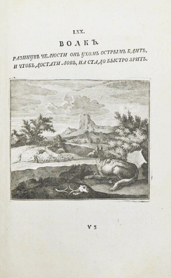 Свет зримый в лицах