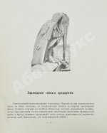 Родных, А.А. Тайная подготовка к уничтожению армии Наполеона в двенадцатом году при помощи воздухоплавания