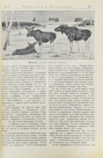 Рыболов и охотник. Годовой комплект за 1911 год