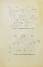 Спутник молодого командира