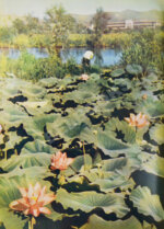 Сто дней в Китае