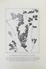 Землеведение. Годовой комплект за 1894 год