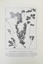 Землеведение. Годовой комплект за 1894 год