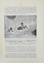 Землеведение. Годовой комплект за 1894 год