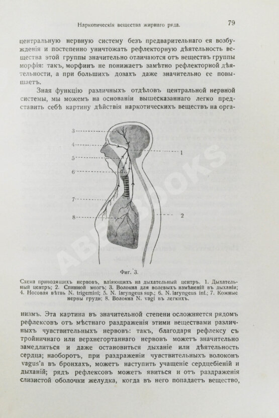 Антикварная книга Кравков, Н.П. Основы фармакологии Антикварная книга Кравков, Н.П. Основы фармакологии