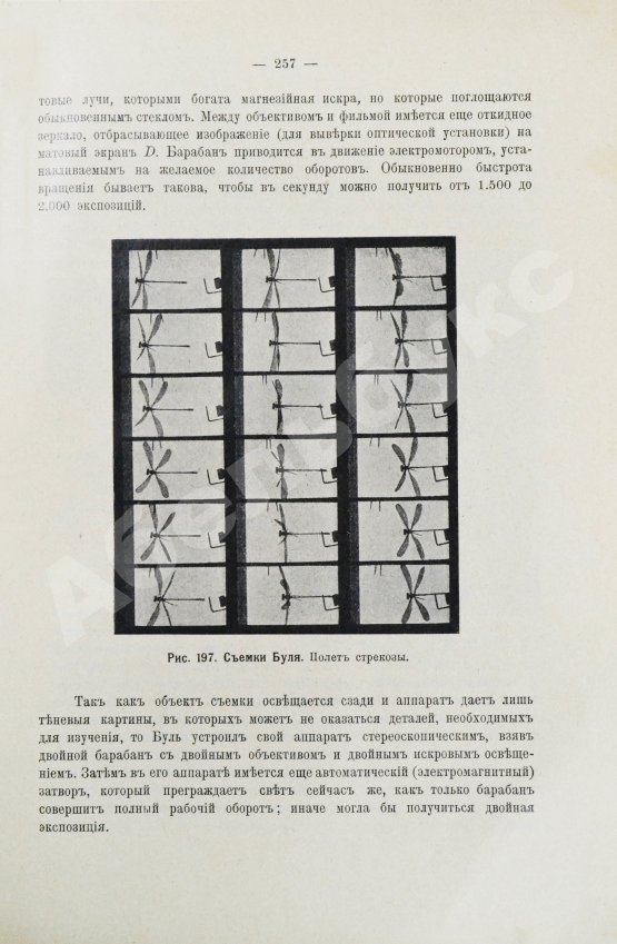 Антикварная книга Маурин, Е.И. Кинематограф в практической жизни