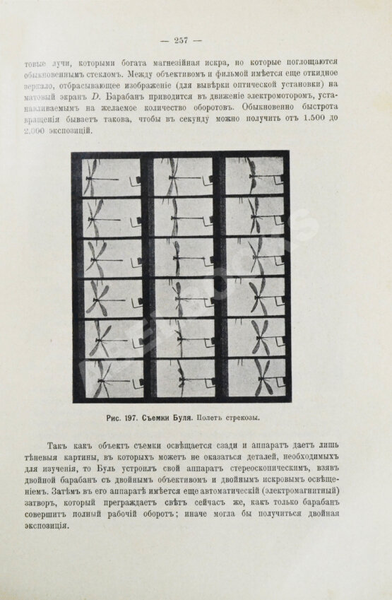 Антикварная книга Маурин, Е.И. Кинематограф в практической жизни Антикварная книга Маурин, Е.И. Кинематограф в практической жизни