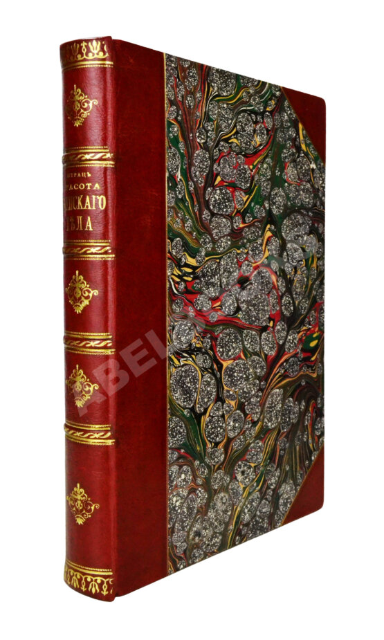 Антикварная книга Штратц, К.Г. Красота женского тела Антикварная книга Штратц, К.Г. Красота женского тела