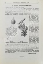 Вестник виноделия