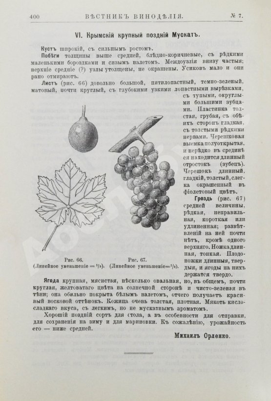 Вестник виноделия