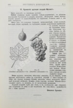 Вестник виноделия