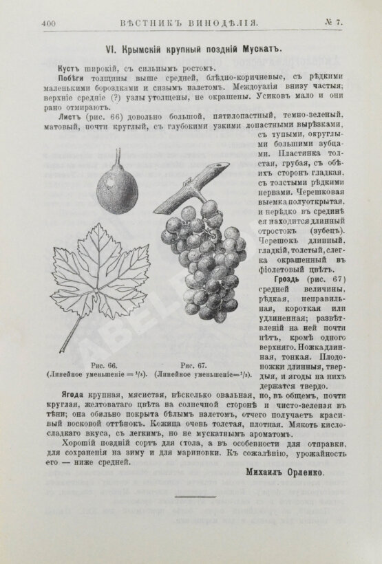 Вестник виноделия