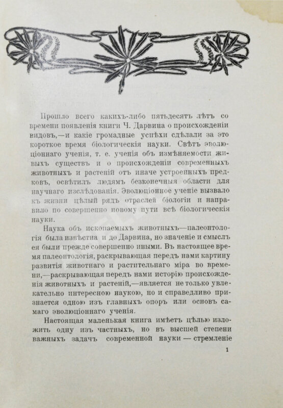 Антикварная книга Елачич, Е.А. О происхождении птиц и о вымерших птицах
