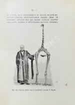 Елачич, Е.А. О происхождении птиц и о вымерших птицах