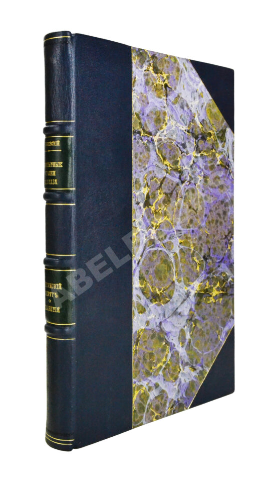 Антикварная книга Каневский, И. Любопытные уголки Кавказа