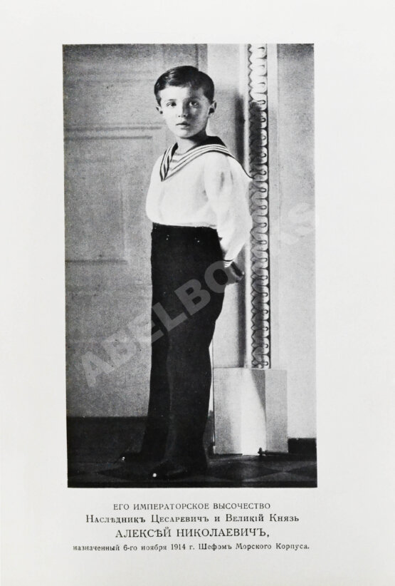 Антикварная книга Российский императорский флот и флоты Германии и Турции