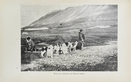 Антикварная книга Носилов, К.Д. На Новой земле. Очерки и наброски