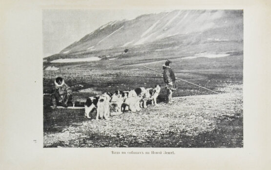 Антикварная книга Носилов, К.Д. На Новой земле. Очерки и наброски