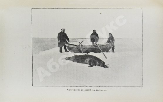 Антикварная книга Носилов, К.Д. На Новой земле. Очерки и наброски