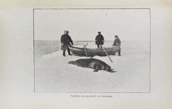 Антикварная книга Носилов, К.Д. На Новой земле. Очерки и наброски