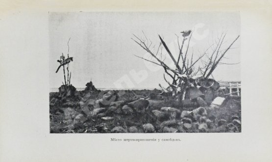 Антикварная книга Носилов, К.Д. На Новой земле. Очерки и наброски