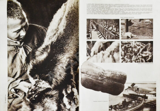 СССР на стройке. Якутия социалистическая. Полярный порт Игарка