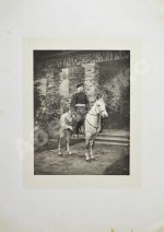 Ностиц, И.Г. Светописи графа Ностица 1896 г.