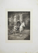 Ностиц, И.Г. Светописи графа Ностица 1896 г.