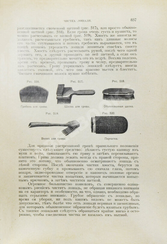 Антикварная книга Урусов, С.П. Книга о лошади. Настольная книга для каждого коннозаводчика, коневода, коневладельца и любителя лошади